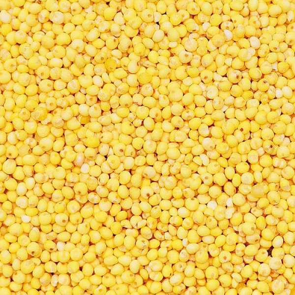 Millet descascado, 5 kg