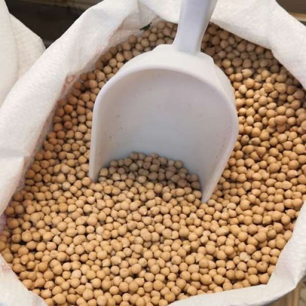 Grão Bico Pedrosillano, 5 kg