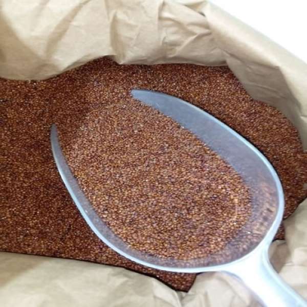 Grão Quinoa Vermelha, 25 kg